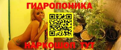 прущие грибы Рузаевка